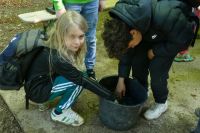 Waldjugendspiele 2025- 10